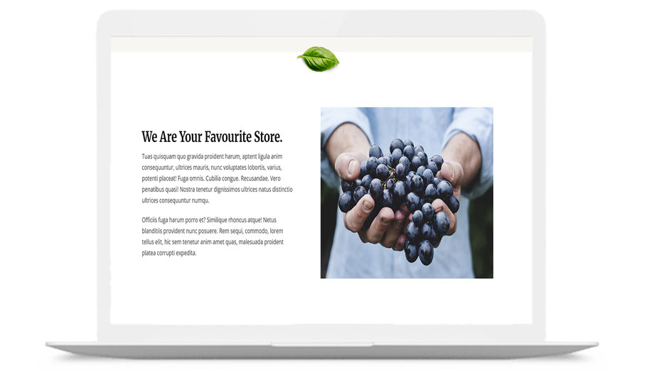 Insaf Bangladesh – Social Welfare & Human Rights Organization Platform